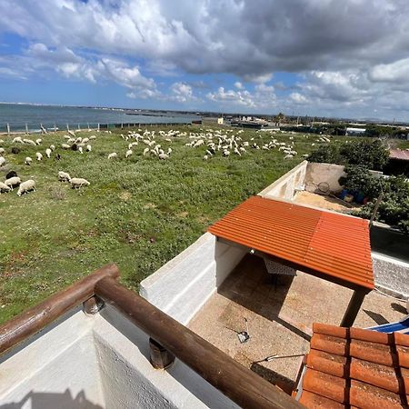 הוילה פטרוזינו Casa Al Mare Con Splendida Vista Sul Mare מראה חיצוני תמונה